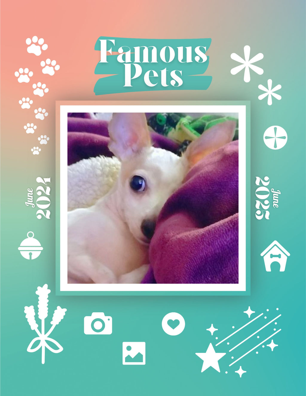 Famous Pets: June 2024-June 2025 Wall Calendar (Pre-Order)