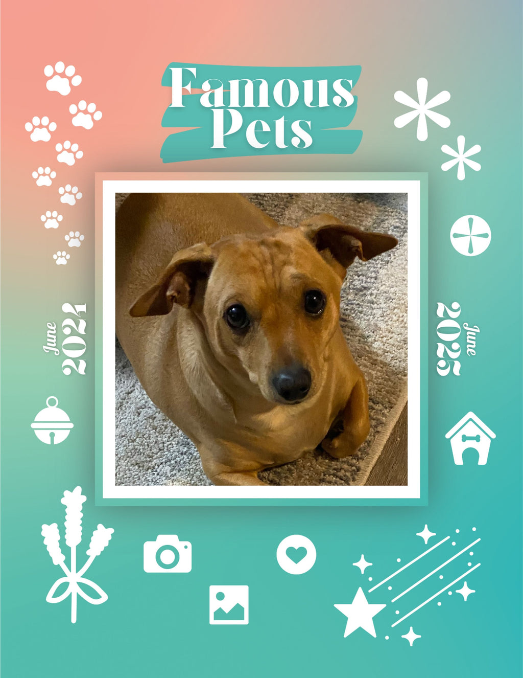 Famous Pets: June 2024-June 2025 Wall Calendar (Pre-Order)