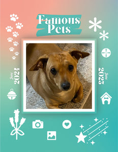 Famous Pets: June 2024-June 2025 Wall Calendar (Pre-Order)
