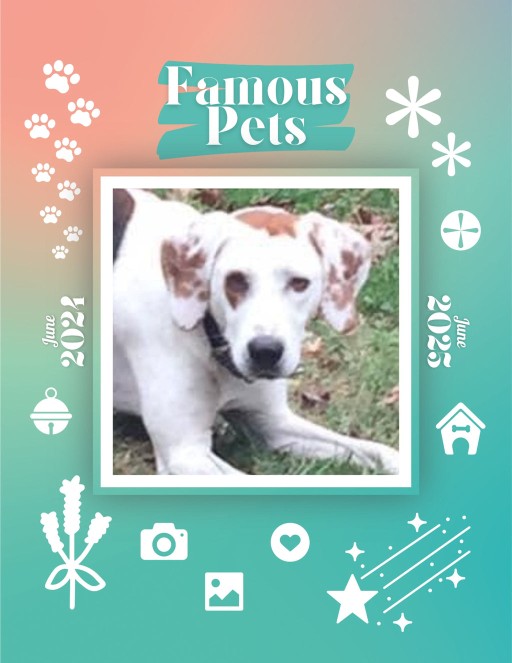 Famous Pets: June 2024-June 2025 Wall Calendar (Pre-Order)