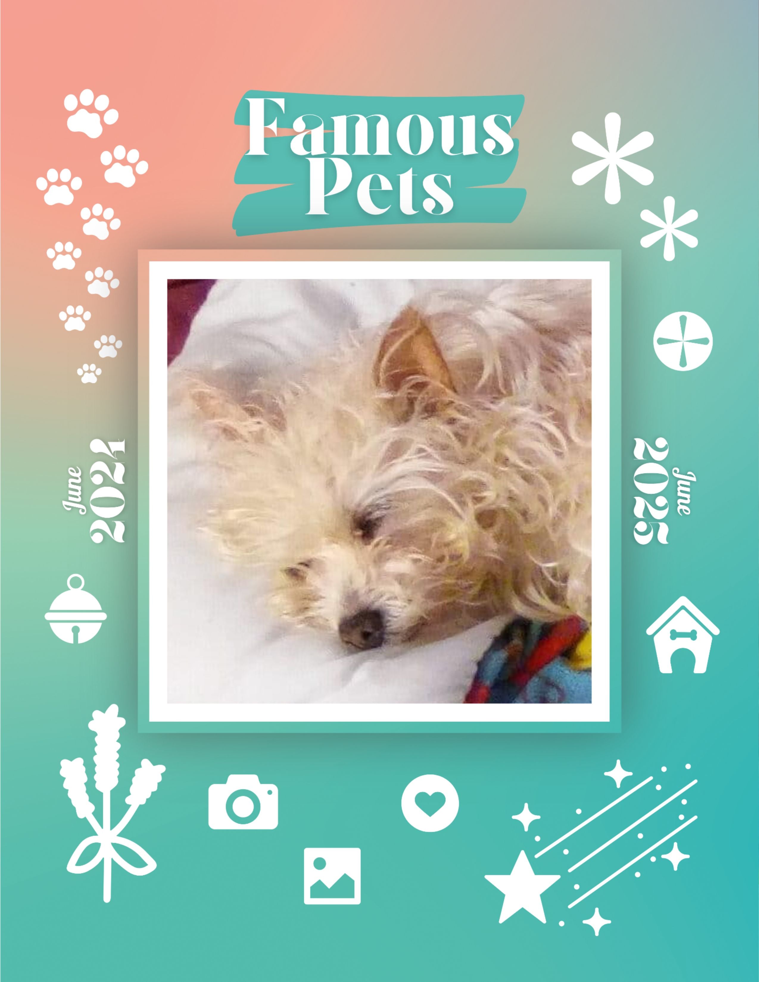 Famous Pets: June 2024-June 2025 Wall Calendar (Pre-Order)