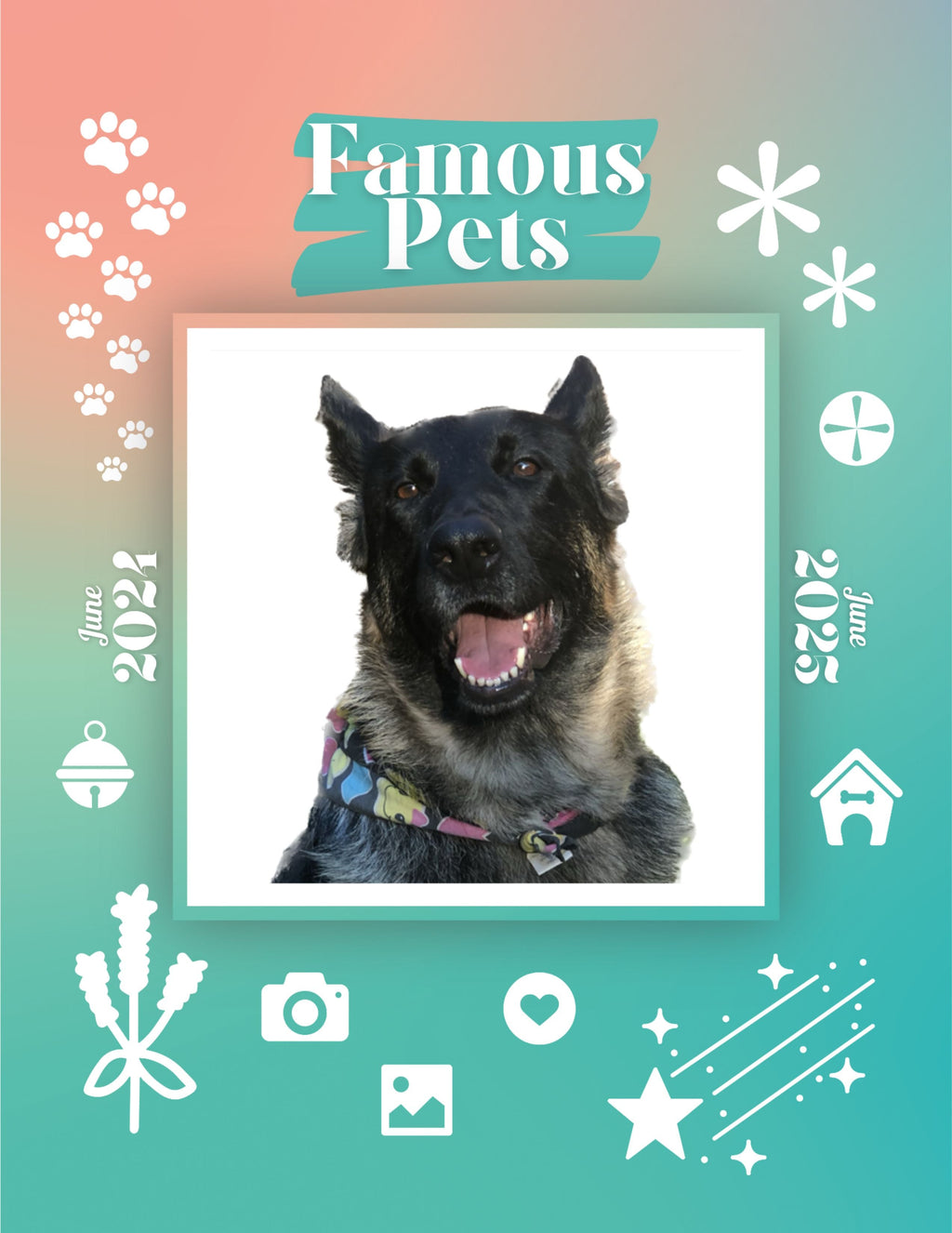 Famous Pets: June 2024-June 2025 Wall Calendar (Pre-Order)
