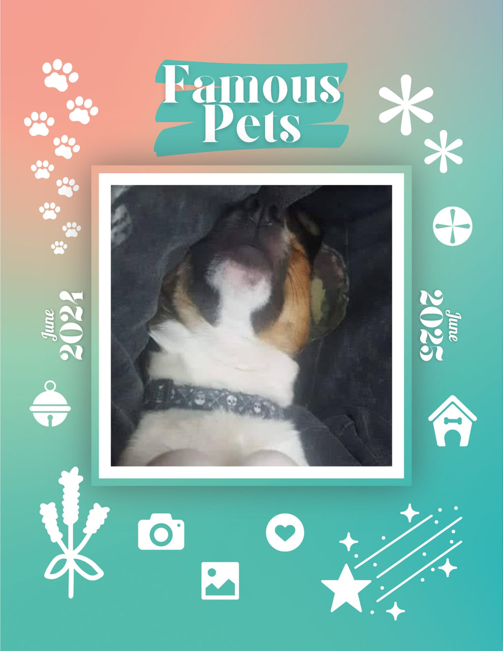 Famous Pets: June 2024-June 2025 Wall Calendar (Pre-Order)