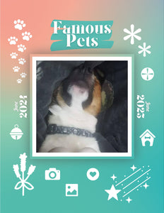 Famous Pets: June 2024-June 2025 Wall Calendar (Pre-Order)