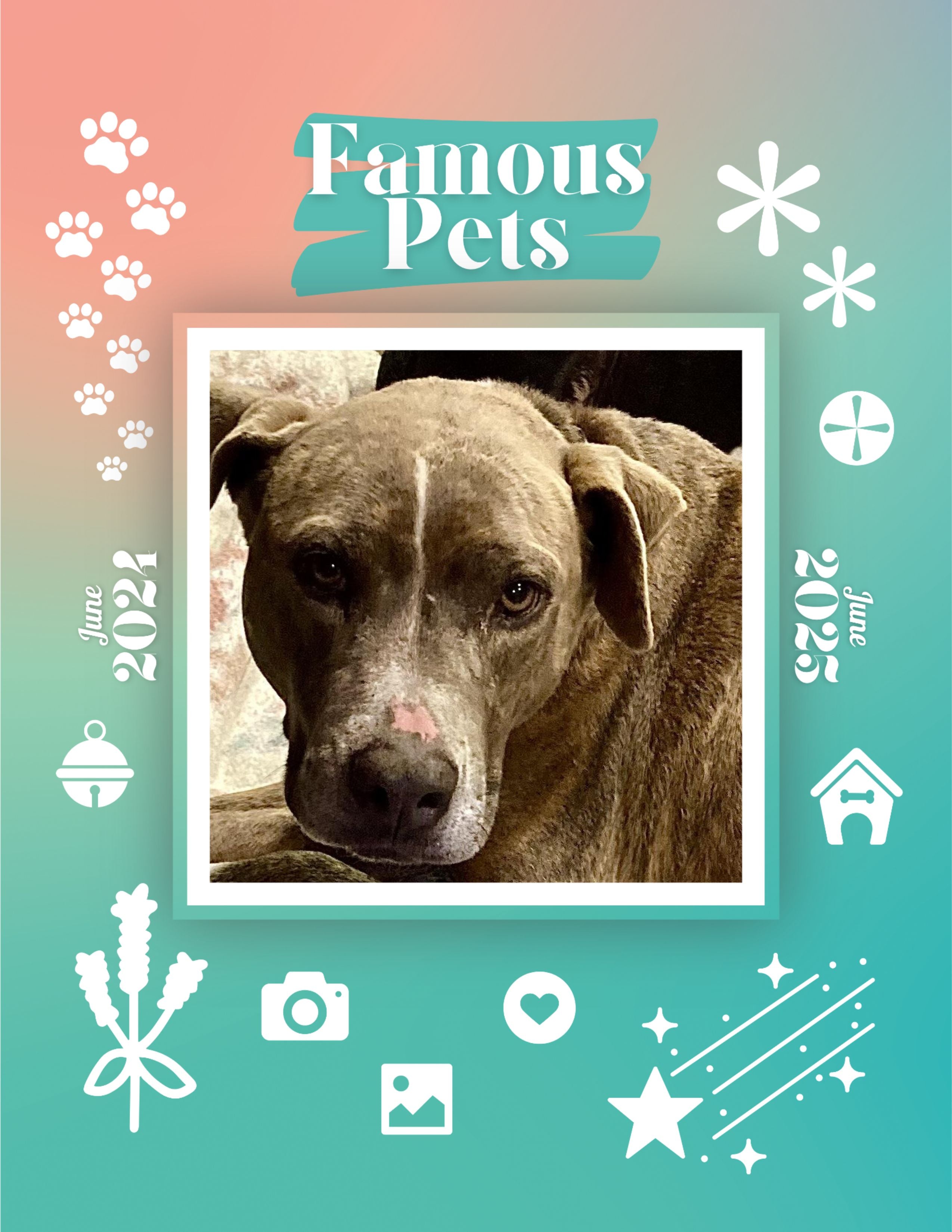 Famous Pets: June 2024-June 2025 Wall Calendar (Pre-Order)