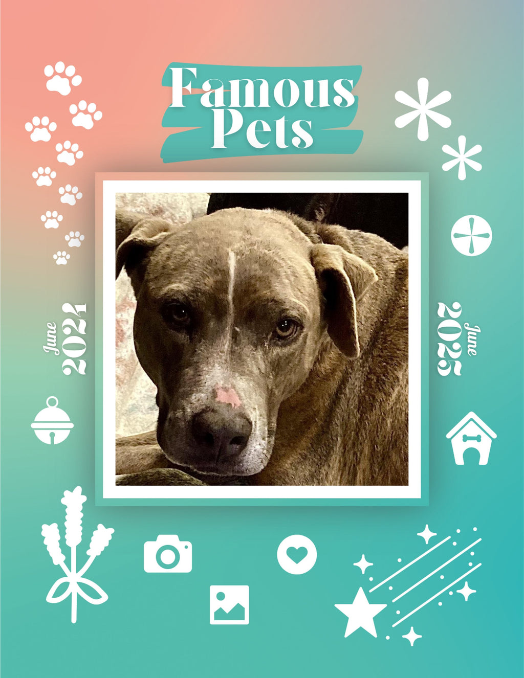 Famous Pets: June 2024-June 2025 Wall Calendar (Pre-Order)