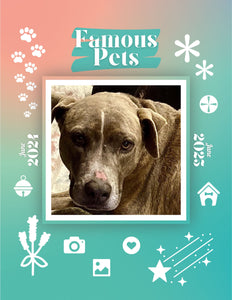 Famous Pets: June 2024-June 2025 Wall Calendar (Pre-Order)