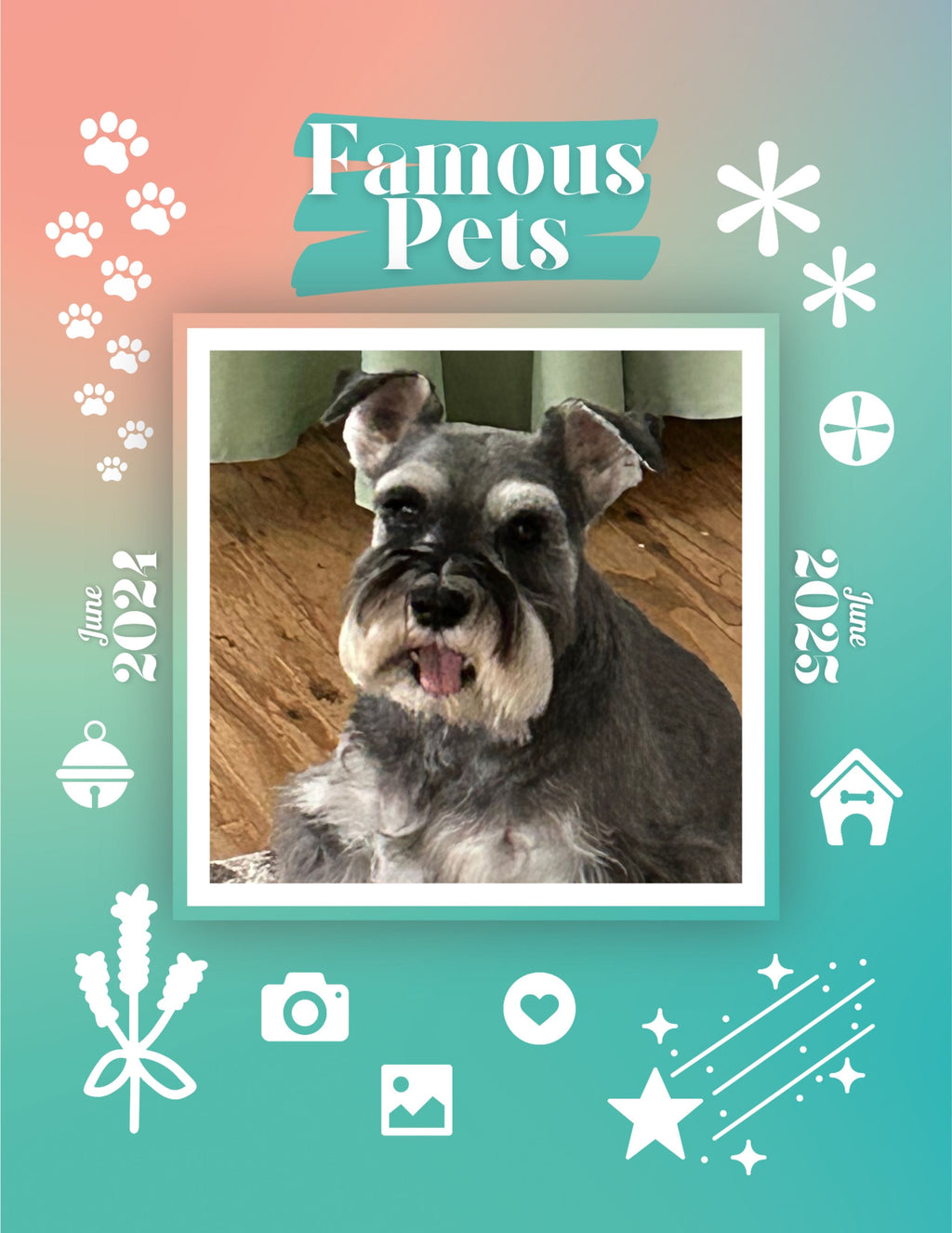 Famous Pets: June 2024-June 2025 Wall Calendar (Pre-Order)