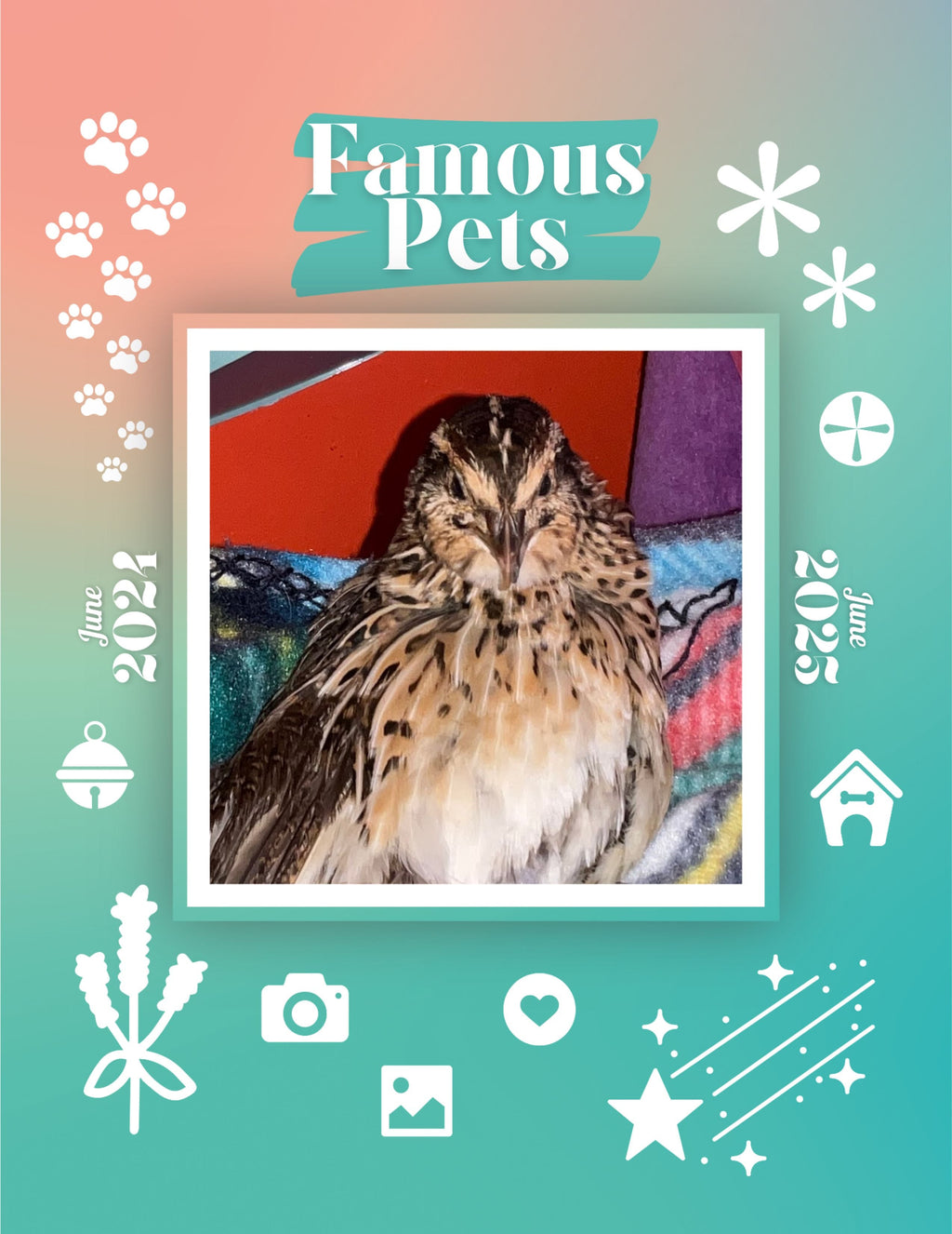Famous Pets: June 2024-June 2025 Wall Calendar (Pre-Order)