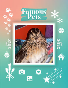 Famous Pets: June 2024-June 2025 Wall Calendar (Pre-Order)