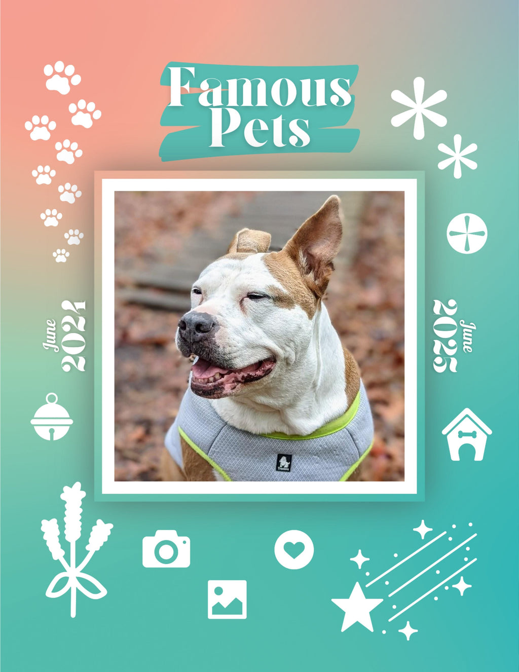 Famous Pets: June 2024-June 2025 Wall Calendar (Pre-Order)