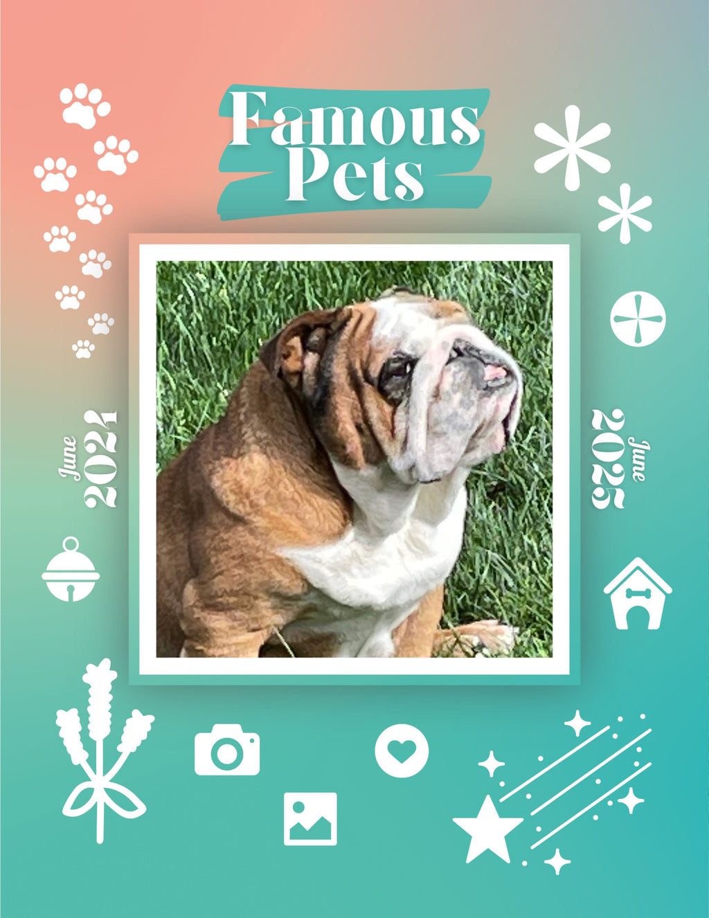 Famous Pets: June 2024-June 2025 Wall Calendar (Pre-Order)