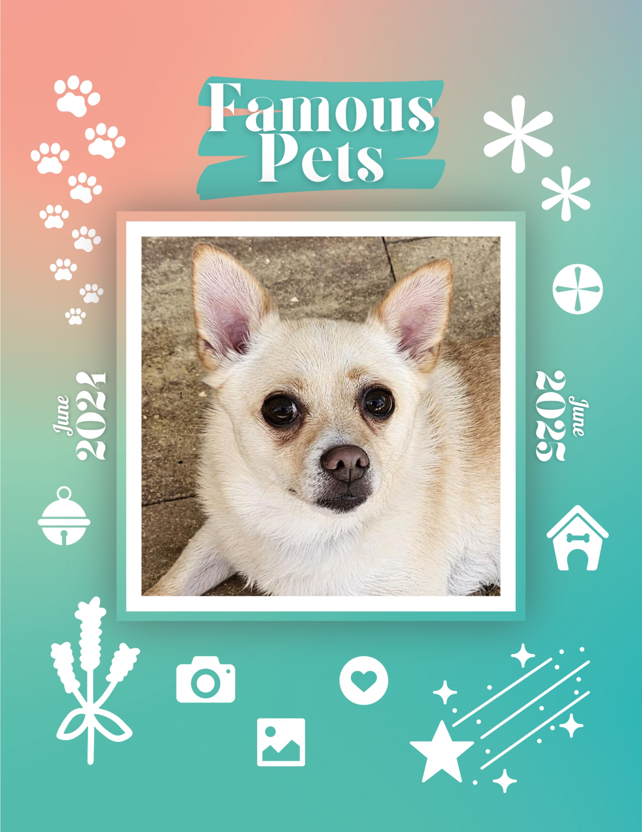 Famous Pets: June 2024-June 2025 Wall Calendar (Pre-Order)