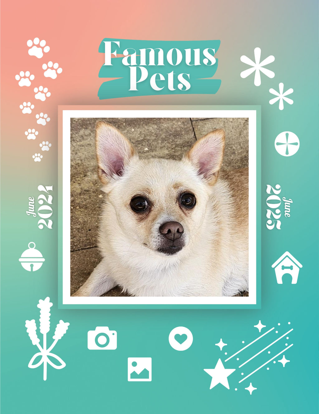 Famous Pets: June 2024-June 2025 Wall Calendar (Pre-Order)