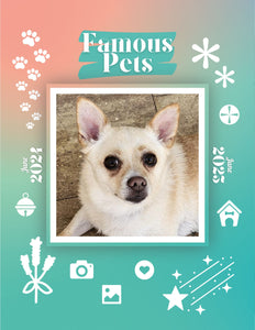 Famous Pets: June 2024-June 2025 Wall Calendar (Pre-Order)