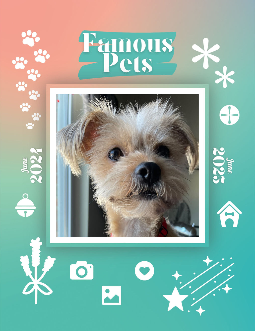 Famous Pets: June 2024-June 2025 Wall Calendar (Pre-Order)