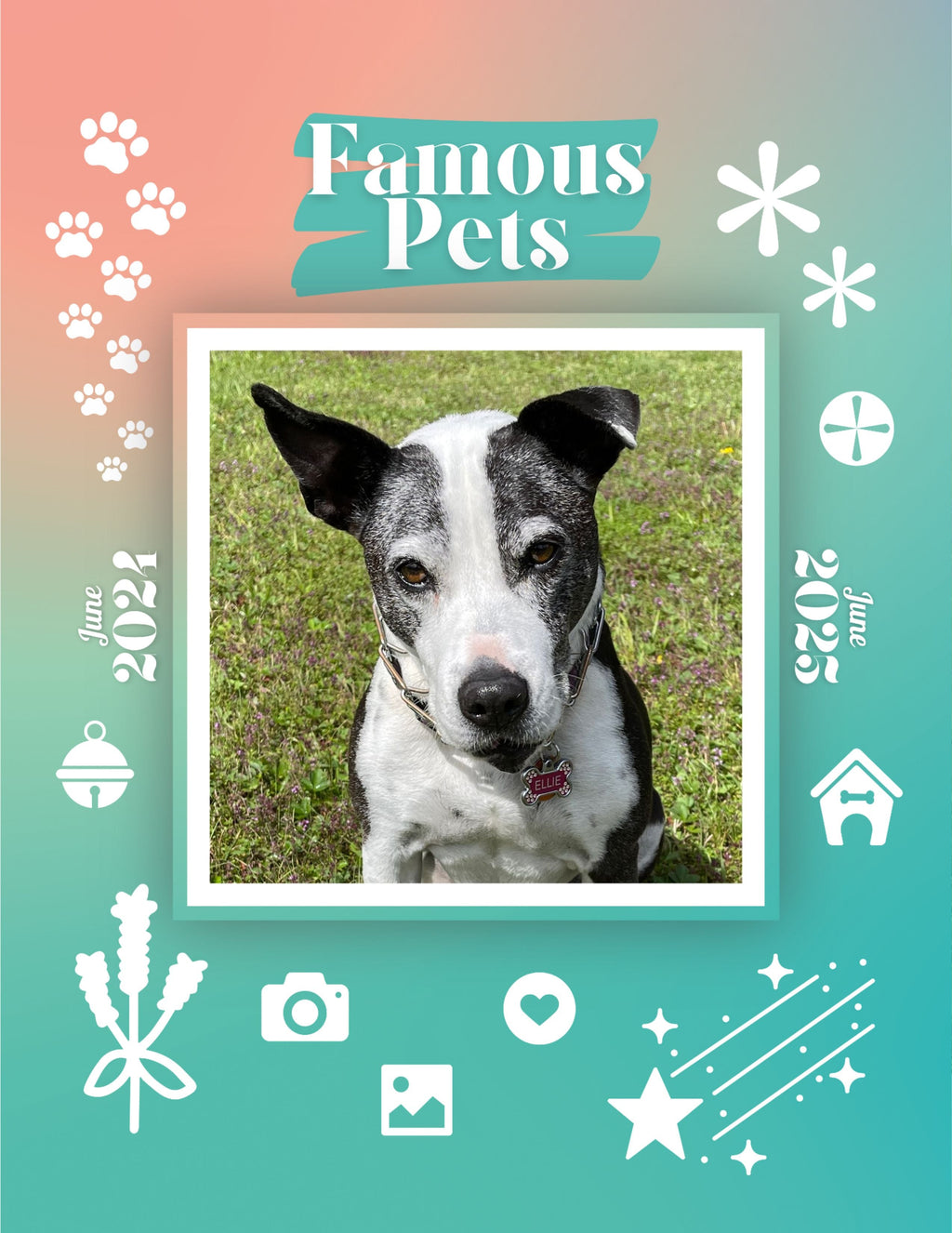 Famous Pets: June 2024-June 2025 Wall Calendar (Pre-Order)