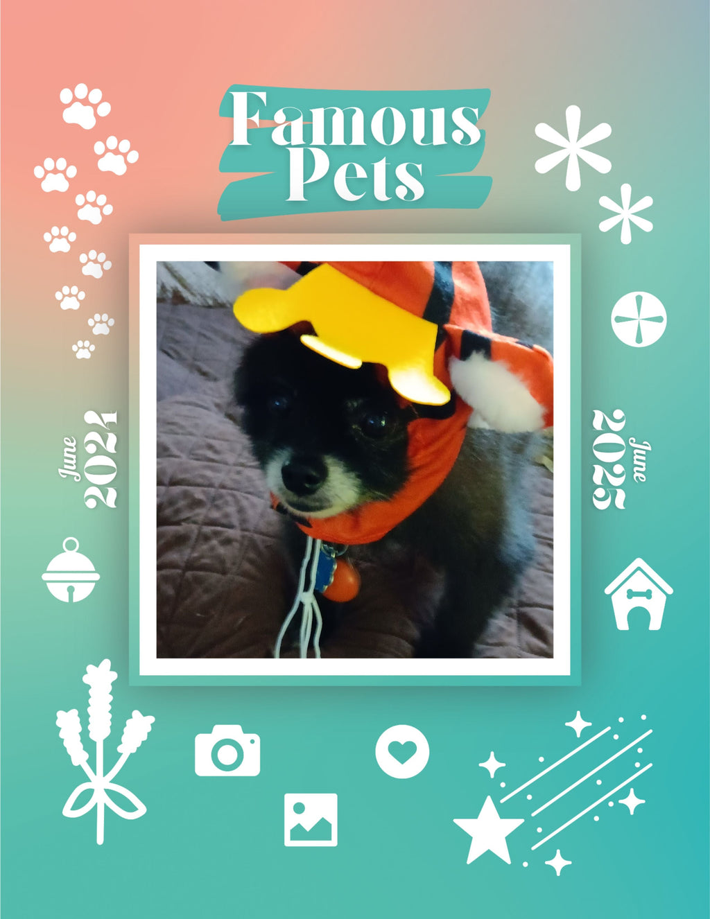 Famous Pets: June 2024-June 2025 Wall Calendar (Pre-Order)