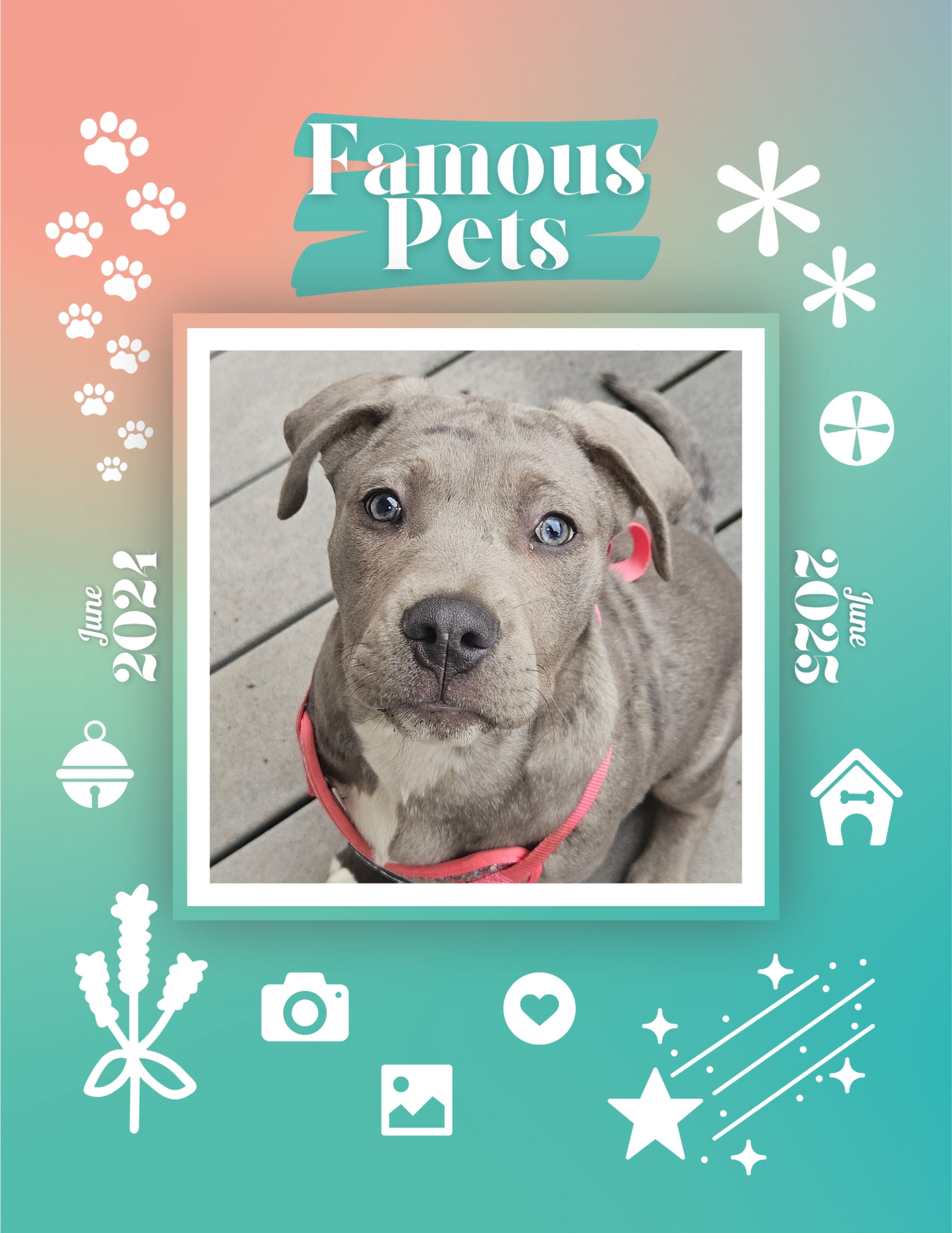 Famous Pets: June 2024-June 2025 Wall Calendar (Pre-Order)