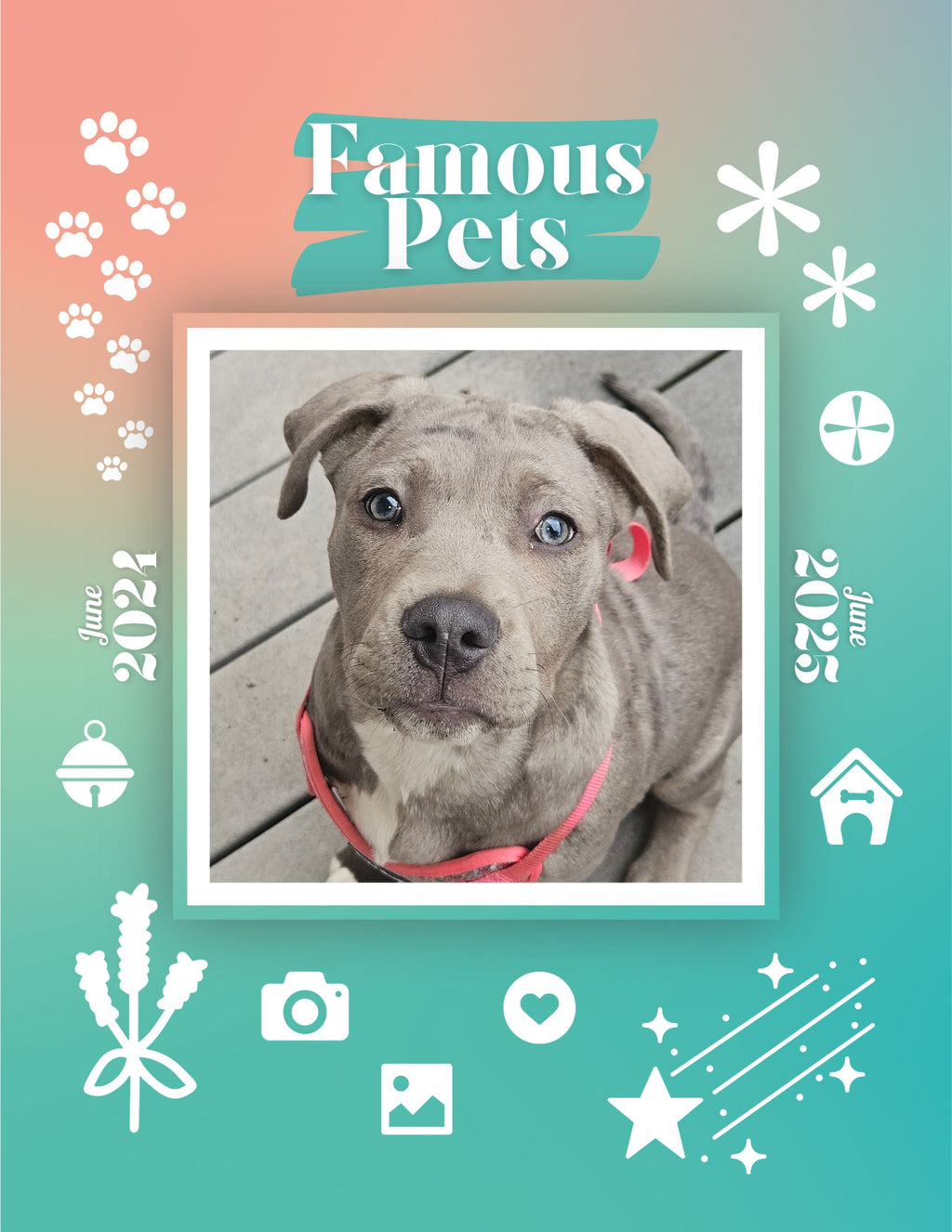 Famous Pets: June 2024-June 2025 Wall Calendar (Pre-Order)