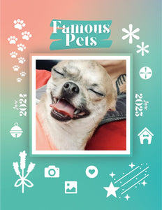 Famous Pets: June 2024-June 2025 Wall Calendar (Pre-Order)