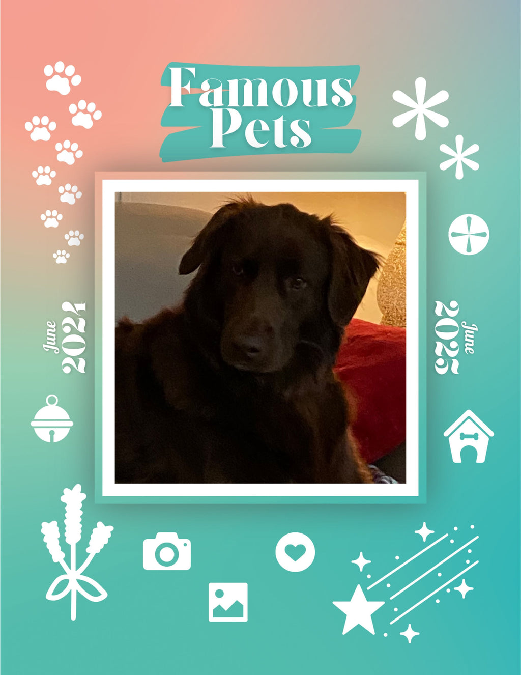 Famous Pets: June 2024-June 2025 Wall Calendar (Pre-Order)