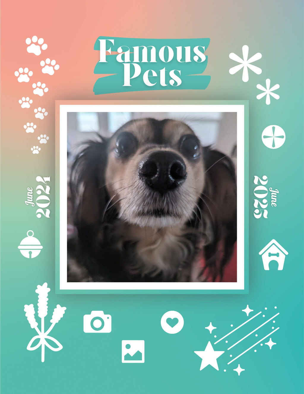 Famous Pets: June 2024-June 2025 Wall Calendar (Pre-Order)