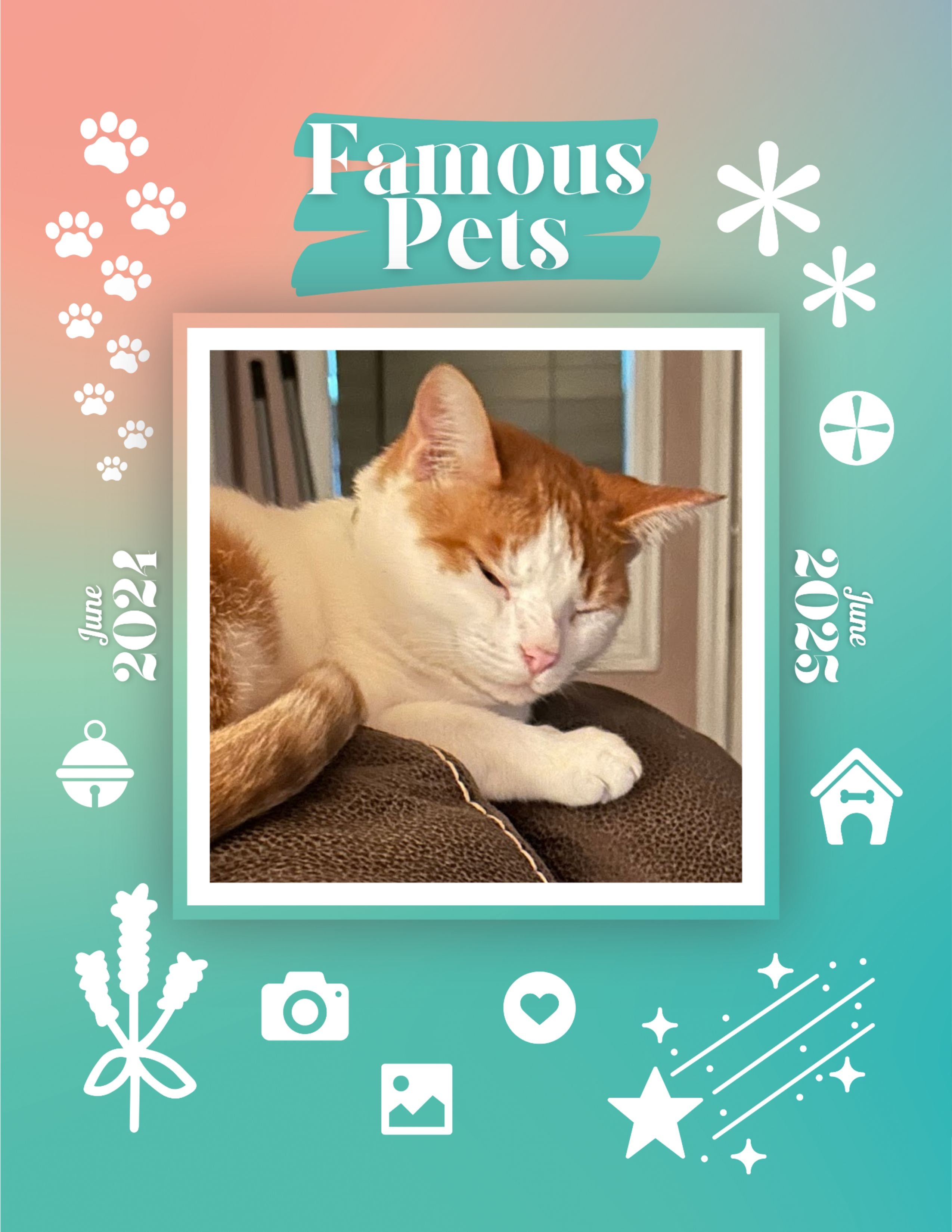 Famous Pets: June 2024-June 2025 Wall Calendar (Pre-Order)