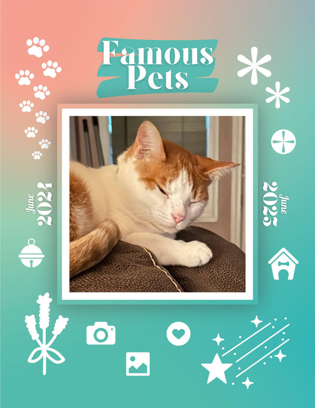 Famous Pets: June 2024-June 2025 Wall Calendar (Pre-Order)