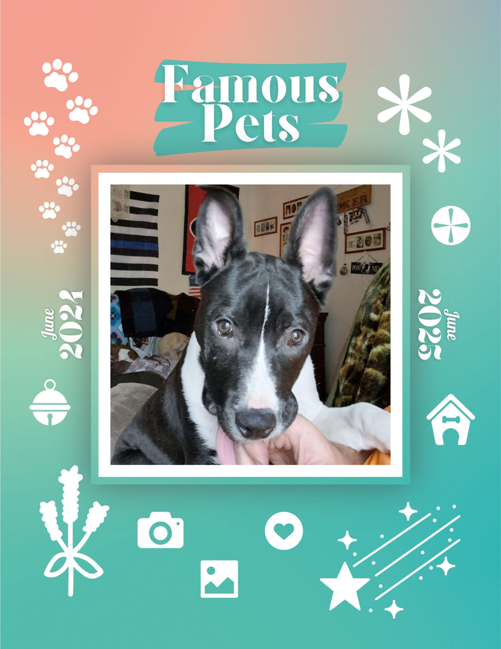Famous Pets: June 2024-June 2025 Wall Calendar (Pre-Order)