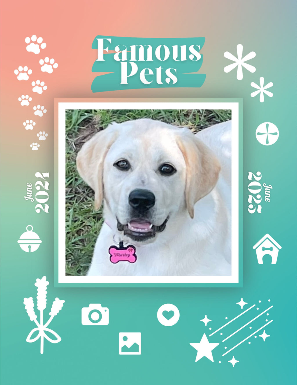 Famous Pets: June 2024-June 2025 Wall Calendar (Pre-Order)