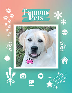 Famous Pets: June 2024-June 2025 Wall Calendar (Pre-Order)