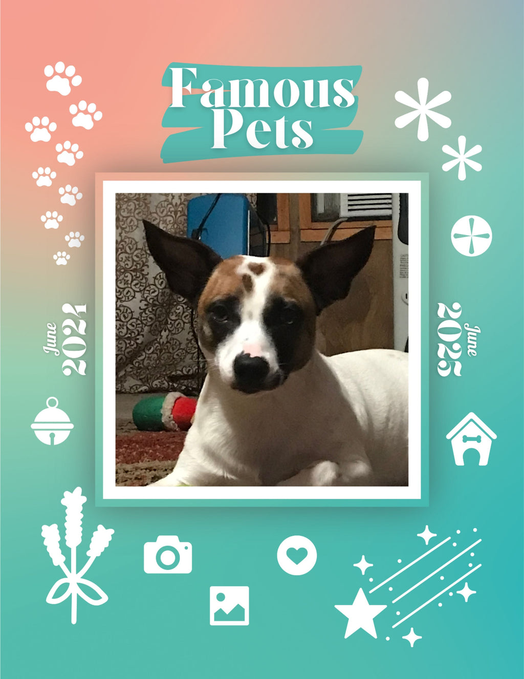Famous Pets: June 2024-June 2025 Wall Calendar (Pre-Order)