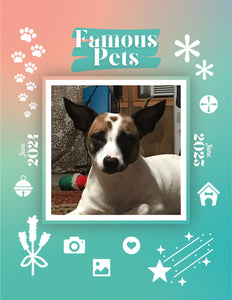 Famous Pets: June 2024-June 2025 Wall Calendar (Pre-Order)