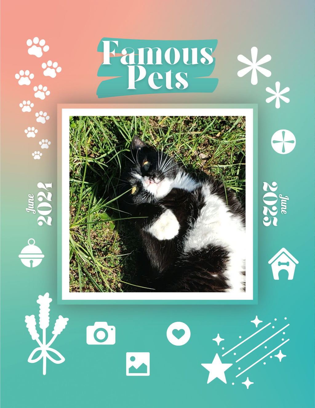 Famous Pets: June 2024-June 2025 Wall Calendar (Pre-Order)