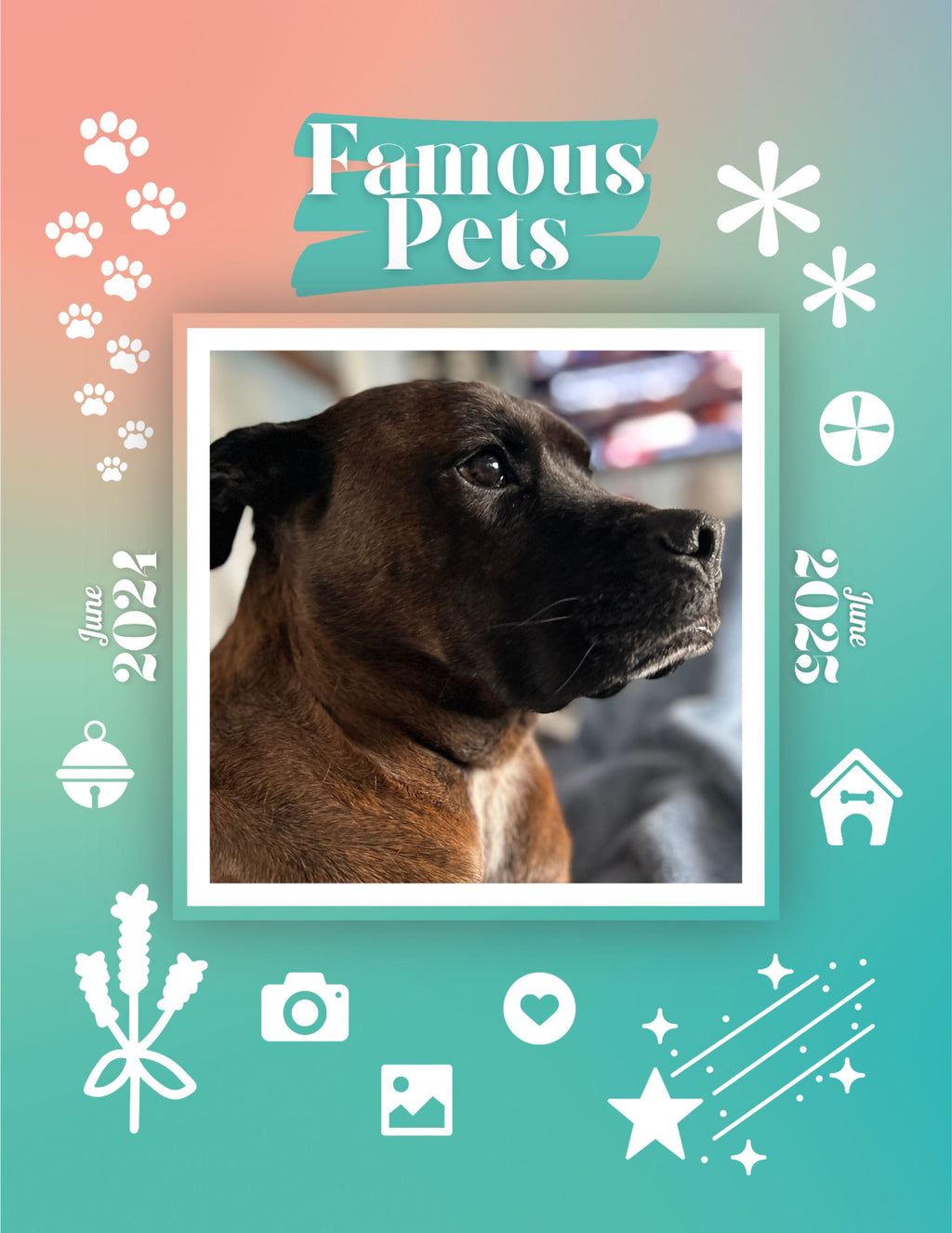 Famous Pets: June 2024-June 2025 Wall Calendar (Pre-Order)