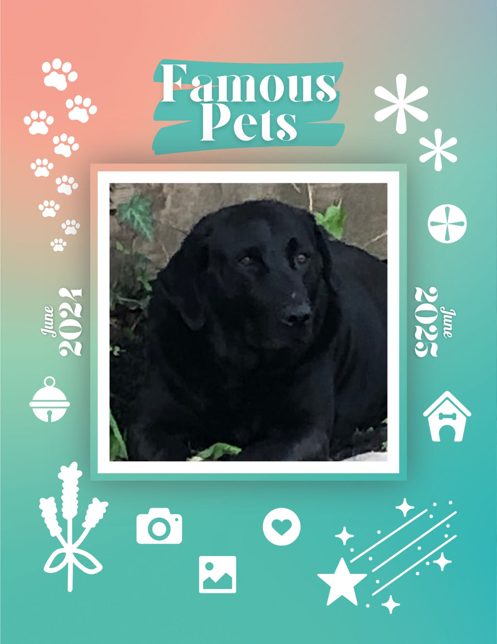 Famous Pets: June 2024-June 2025 Wall Calendar (Pre-Order)
