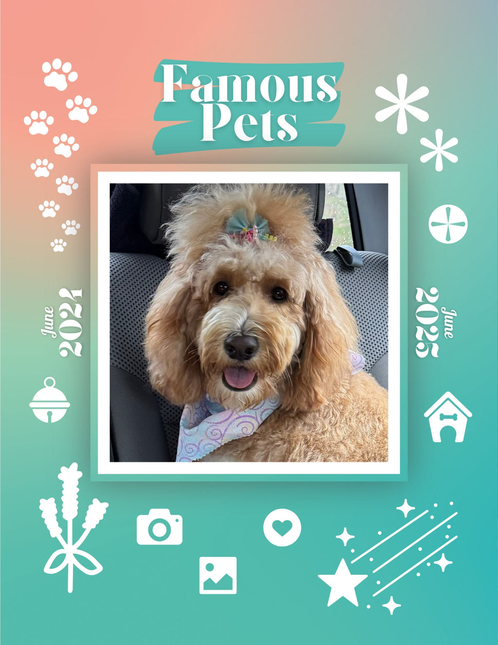 Famous Pets: June 2024-June 2025 Wall Calendar (Pre-Order)