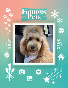 Famous Pets: June 2024-June 2025 Wall Calendar (Pre-Order)