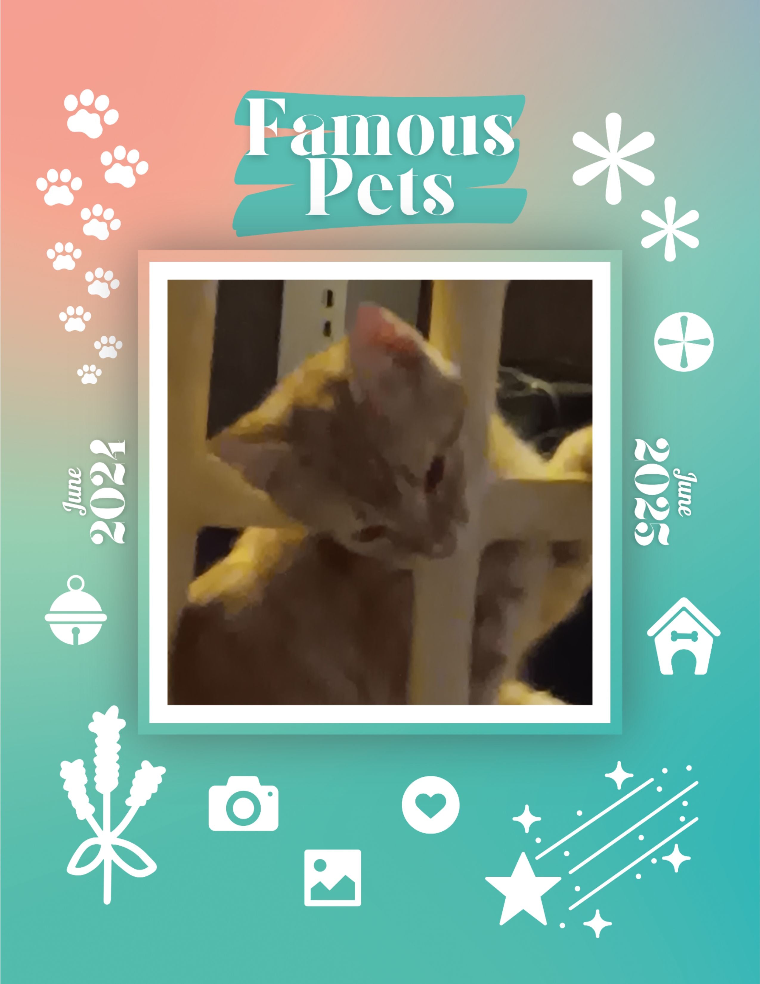 Famous Pets: June 2024-June 2025 Wall Calendar (Pre-Order)