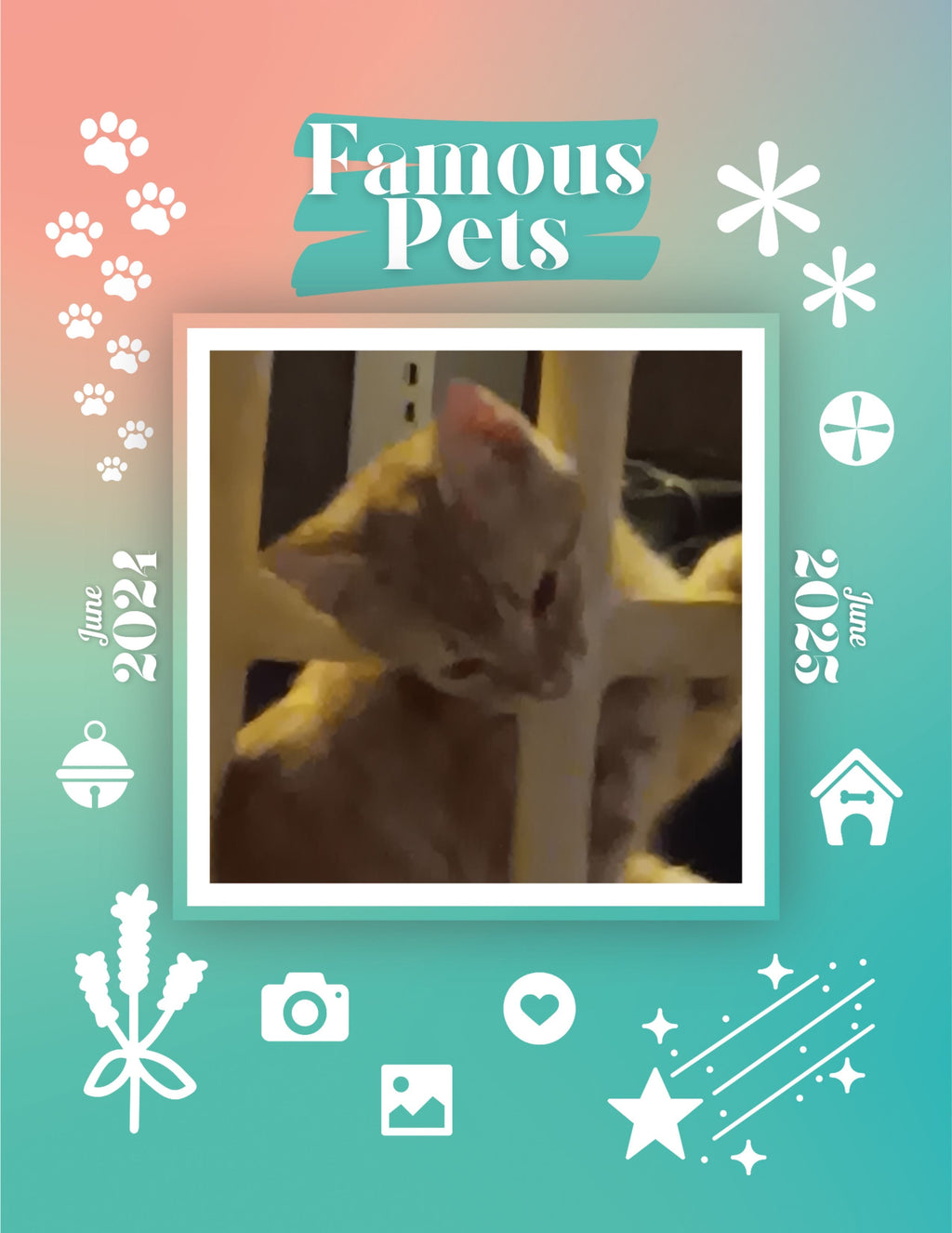 Famous Pets: June 2024-June 2025 Wall Calendar (Pre-Order)