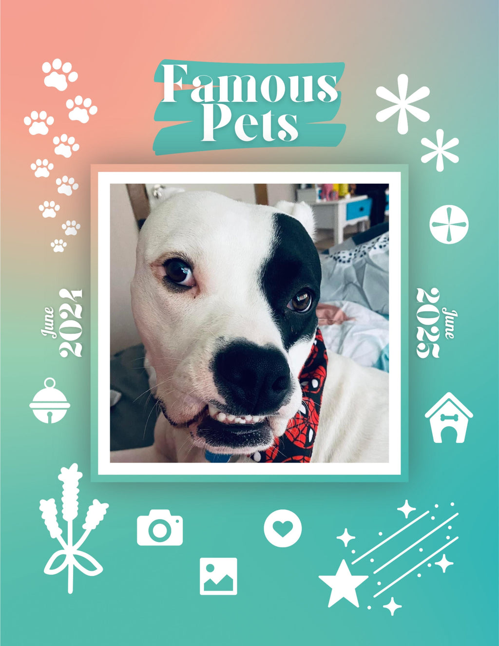 Famous Pets: June 2024-June 2025 Wall Calendar (Pre-Order)