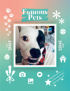 Famous Pets: June 2024-June 2025 Wall Calendar (Pre-Order)