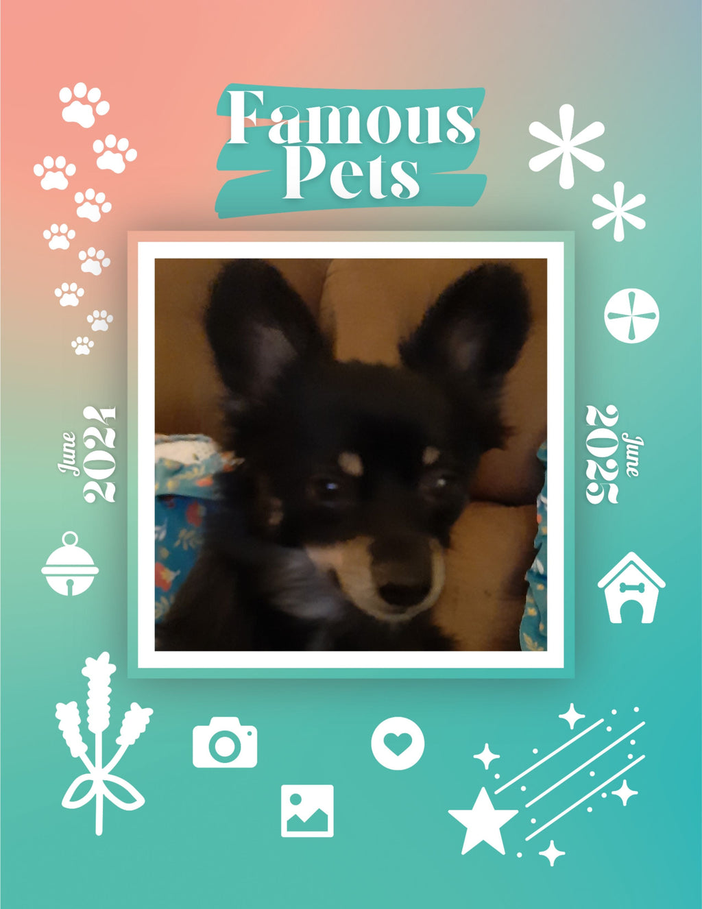 Famous Pets: June 2024-June 2025 Wall Calendar (Pre-Order)
