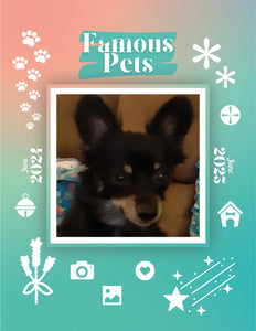 Famous Pets: June 2024-June 2025 Wall Calendar (Pre-Order)