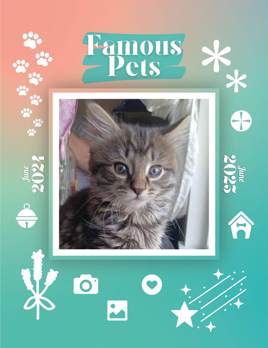 Famous Pets: June 2024-June 2025 Wall Calendar (Pre-Order)