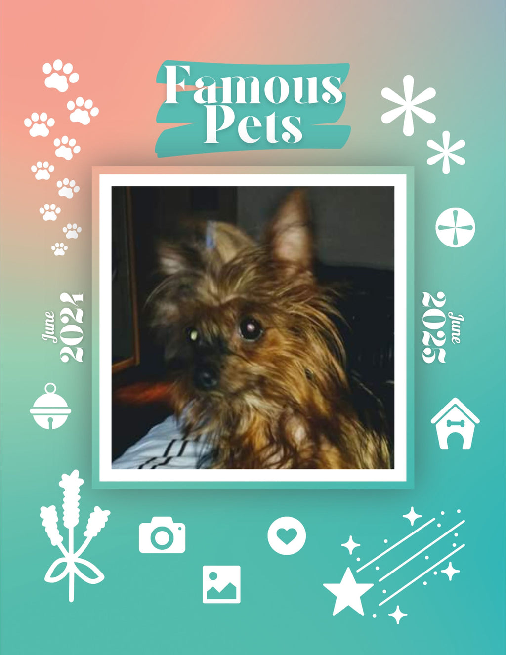 Famous Pets: June 2024-June 2025 Wall Calendar (Pre-Order)