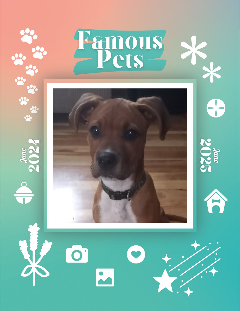 Famous Pets: June 2024-June 2025 Wall Calendar (Pre-Order)