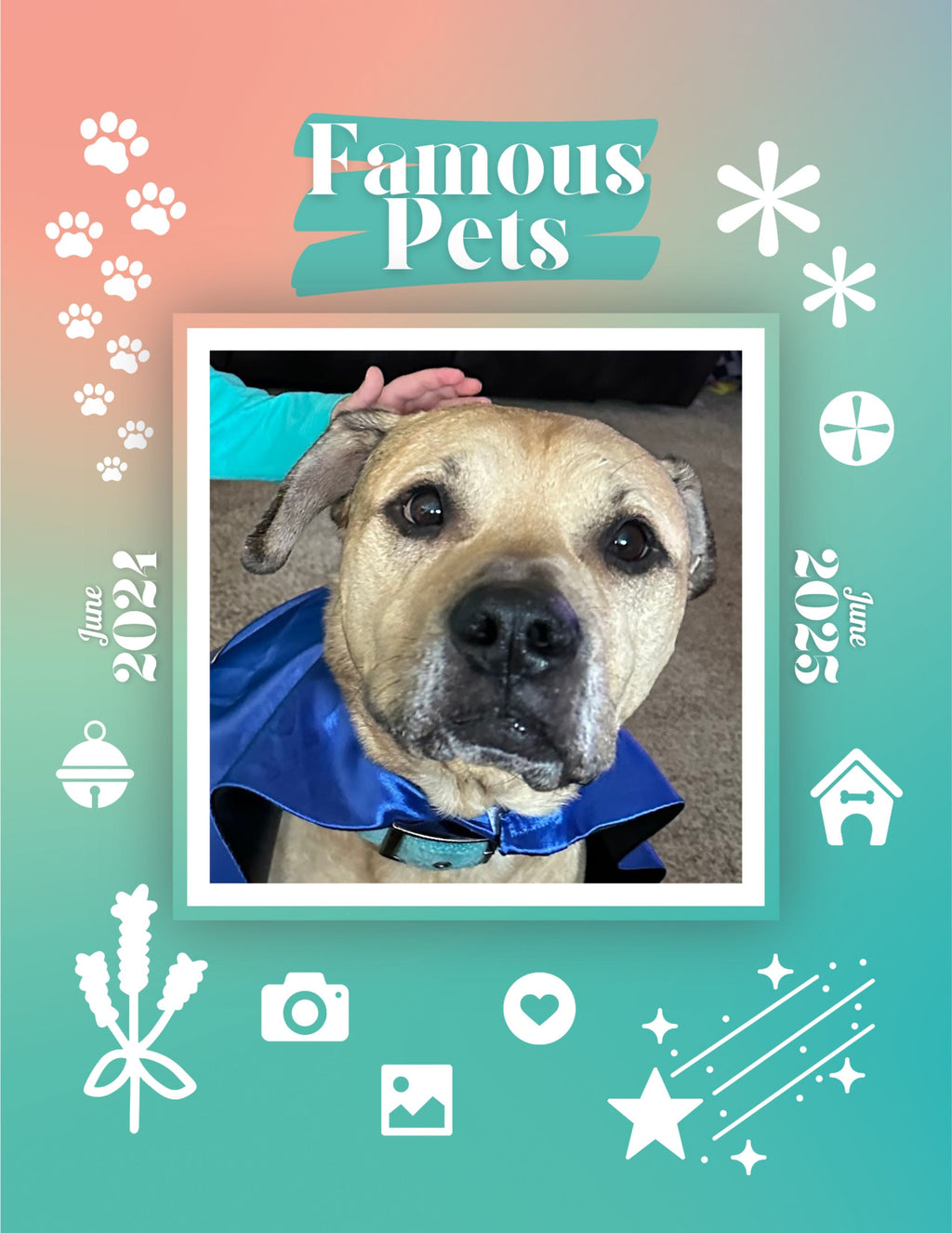 Famous Pets: June 2024-June 2025 Wall Calendar (Pre-Order)