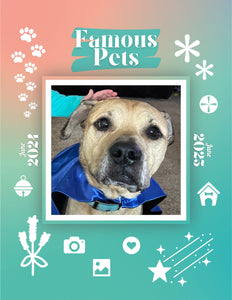 Famous Pets: June 2024-June 2025 Wall Calendar (Pre-Order)
